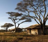 Ndutu Under Canvas 